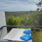 The View House