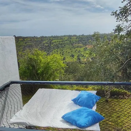 The View House